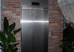 SDC12840-1030x687