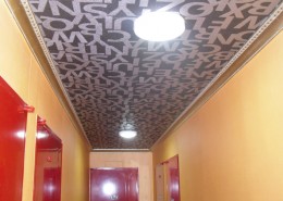 SDC12862-1030x687