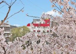 인사말img2